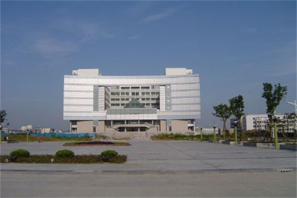 国际金价持续飙升背后：美元信用松动下的投资机遇