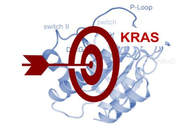 中国北大荒：2024年亏损296亿港元